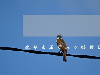 逾期未还可以办抵押贷款吗 逾期未还可以办抵押贷款吗