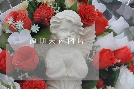 逾期未还图片 逾期未还图片
