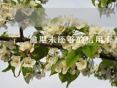 逾期未还够的信用卡案例 逾期未还够的信用卡案例