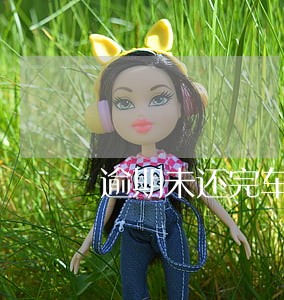 逾期未还完车贷怎么办 逾期未还完车贷怎么办