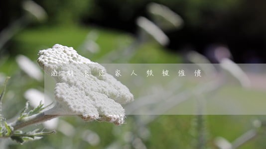 逾期未还家人频被催债 逾期未还家人频被催债