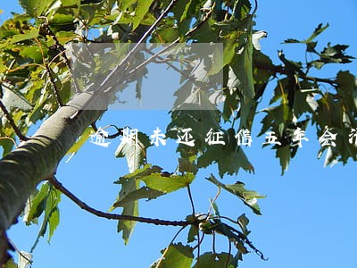 逾期未还征信五年会清零吗 逾期未还征信五年会清零吗