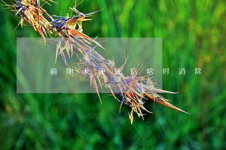 逾期未还征信啥时消除 逾期未还征信啥时消除