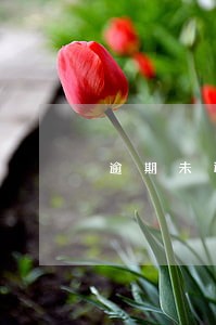 逾期未还征信报告会打几页 逾期未还征信报告会打几页