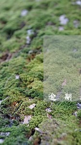 逾期未还抵押 逾期未还抵押