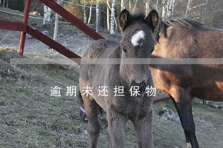 逾期未还担保物 逾期未还担保物