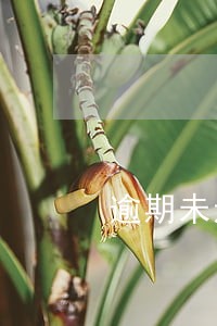 逾期未还招行信用卡 逾期未还招行信用卡
