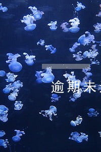 逾期未还按未还金额收取利息 逾期未还按未还金额收取利息
