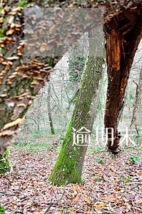 逾期未还提示已立案 逾期未还提示已立案
