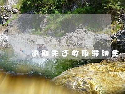 逾期未还收取滞纳金 逾期未还收取滞纳金