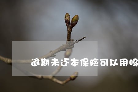 逾期未还本保险可以用吗 逾期未还本保险可以用吗