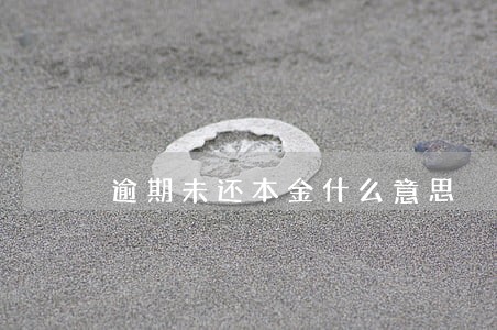 逾期未还本金什么意思
