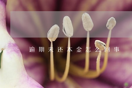 逾期未还本金怎么回事