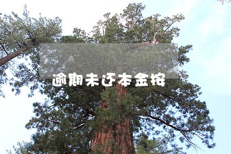 逾期未还本金按 逾期未还本金按