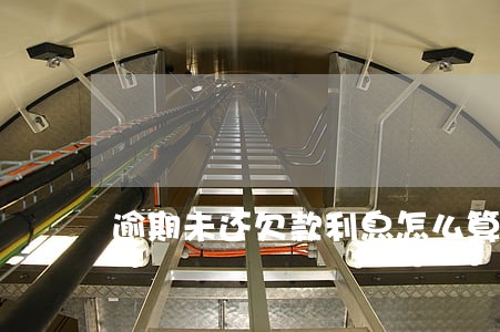 逾期未还欠款利息怎么算 逾期未还欠款利息怎么算