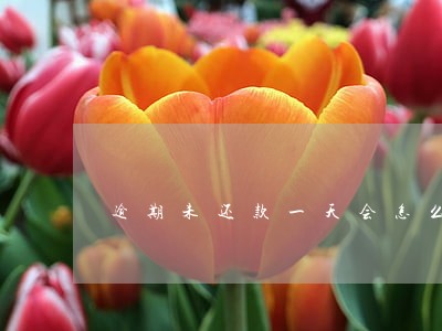 逾期未还款一天会怎么样 逾期未还款一天会怎么样