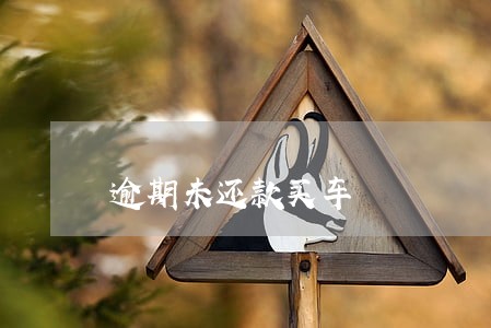 逾期未还款买车 逾期未还款买车