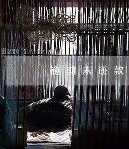逾期未还款会有什么后果 逾期未还款会有什么后果