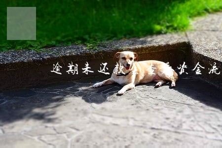 逾期未还款会查看资金流向吗 逾期未还款会查看资金流向吗