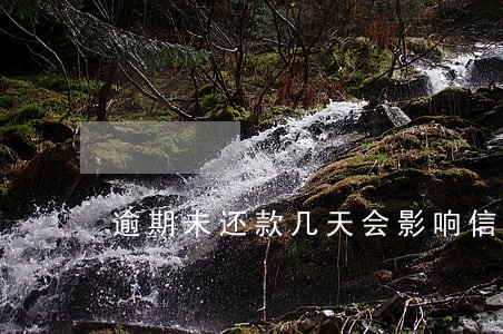 逾期未还款几天会影响信用记录