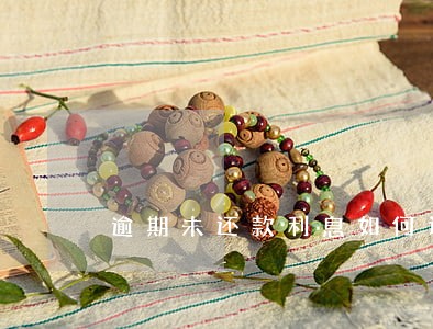 逾期未还款利息如何计算 逾期未还款利息如何计算