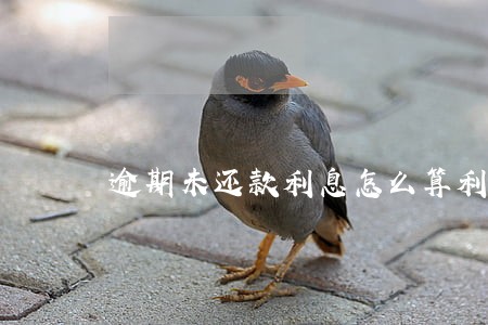逾期未还款利息怎么算利息 逾期未还款利息怎么算利息