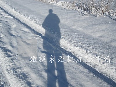 逾期未还款原告申请 逾期未还款原告申请