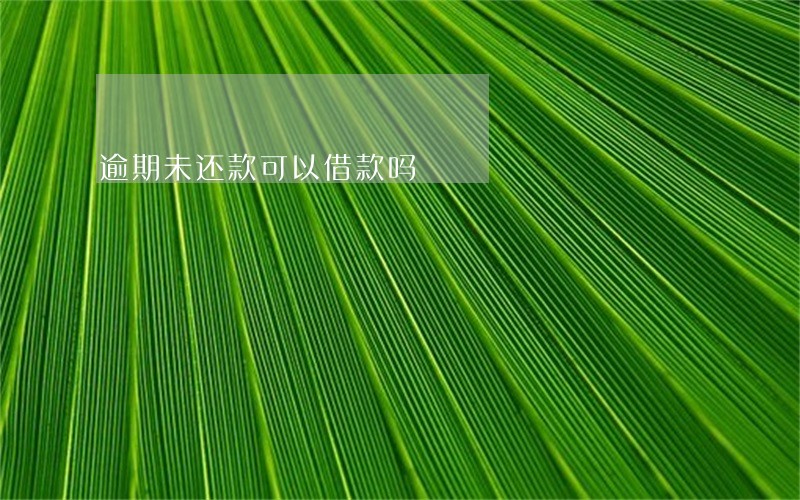 逾期未还款可以借款吗 逾期未还款可以借款吗