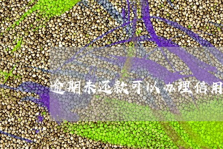 逾期未还款可以办理信用卡吗 逾期未还款可以办理信用卡吗