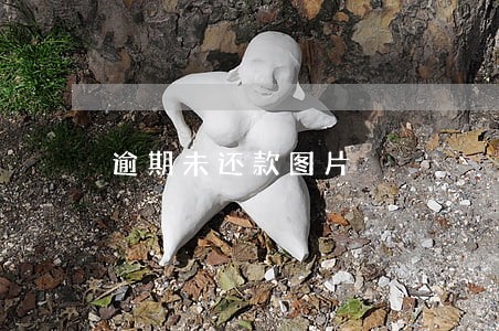逾期未还款图片 逾期未还款图片