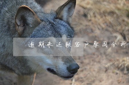 逾期未还款客户原因分析 逾期未还款客户原因分析