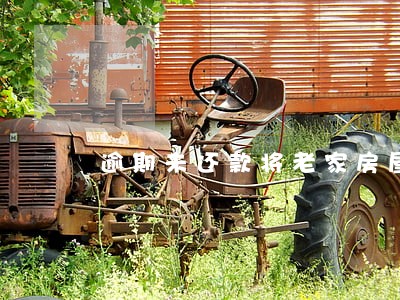 逾期未还款将老家房屋抵押 逾期未还款将老家房屋抵押
