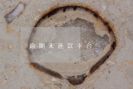 逾期未还款平台 逾期未还款平台