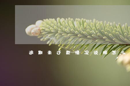 逾期未还款情况说明怎么写 逾期未还款情况说明怎么写