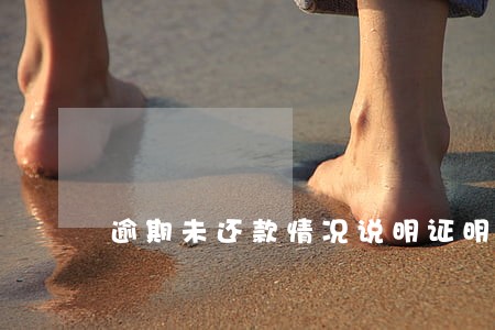 逾期未还款情况说明证明 逾期未还款情况说明证明