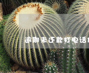 逾期未还款打电话催 逾期未还款打电话催