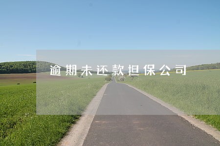 逾期未还款担保公司 逾期未还款担保公司
