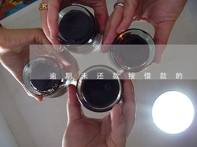 逾期未还款按借款的 逾期未还款按借款的