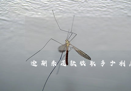 逾期未还款收取多少利息是合法的 逾期未还款收取多少利息是合法的