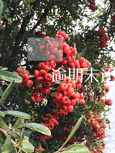 逾期未还款是什么后果 逾期未还款是什么后果