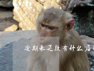 逾期未还款有什么后果 逾期未还款有什么后果