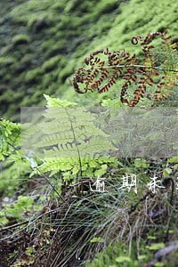 逾期未还款有滞纳金吗 逾期未还款有滞纳金吗