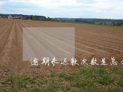逾期未还款次数是怎么计算的 逾期未还款次数是怎么计算的