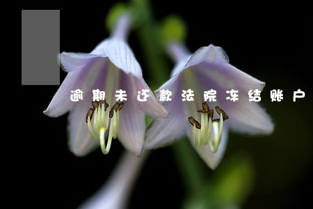 逾期未还款法院冻结账户怎么办 逾期未还款法院冻结账户怎么办