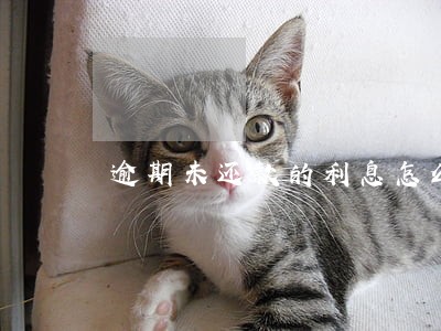 逾期未还款的利息怎么算 逾期未还款的利息怎么算