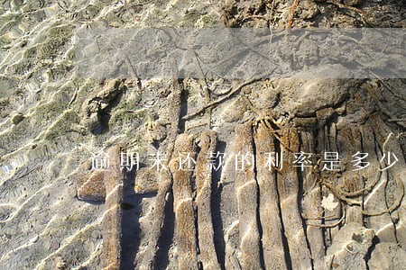 逾期未还款的利率是多少 逾期未还款的利率是多少