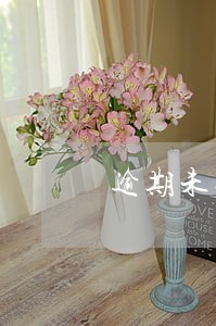 逾期未还款的后果是什么 逾期未还款的后果是什么