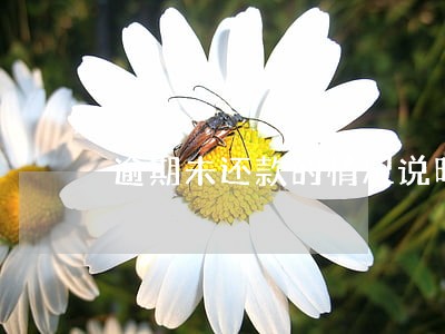 逾期未还款的情况说明