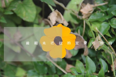 逾期未还款的是要还违约金吗