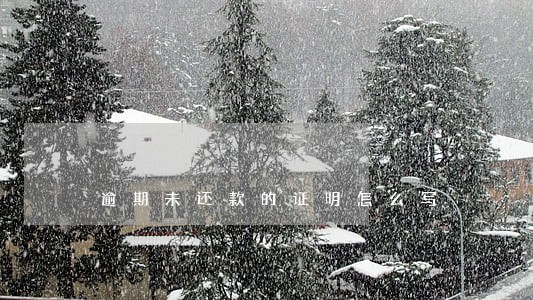 逾期未还款的证明怎么写 逾期未还款的证明怎么写